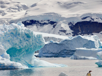Названа причина появления гигантской полыньи в Антарктиде