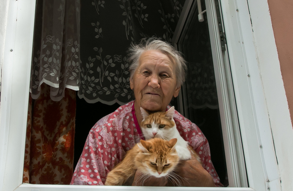 Кошки в старости. Пенсионер кошачий. Старость у кошек. Фото пенсионерка с кошкой.