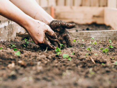 Садотерапия: как возня в огороде помогает избавиться от депрессии?