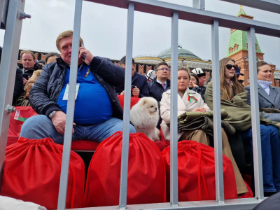 На Парад Победы в Москве взяли шпица Лукашенко Умку