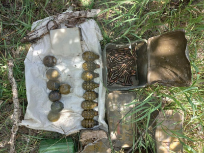Схрон с боеприпасами нашли оперативники в Запорожской области