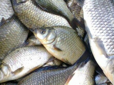 Инопланетяне украли водоём в Свердловской области