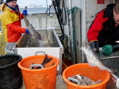 Сами напросились: Россия поставила ультиматум норвежским рыбакам — партнерский материал